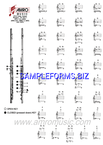 Flute Fingering Chart 1 pdf free