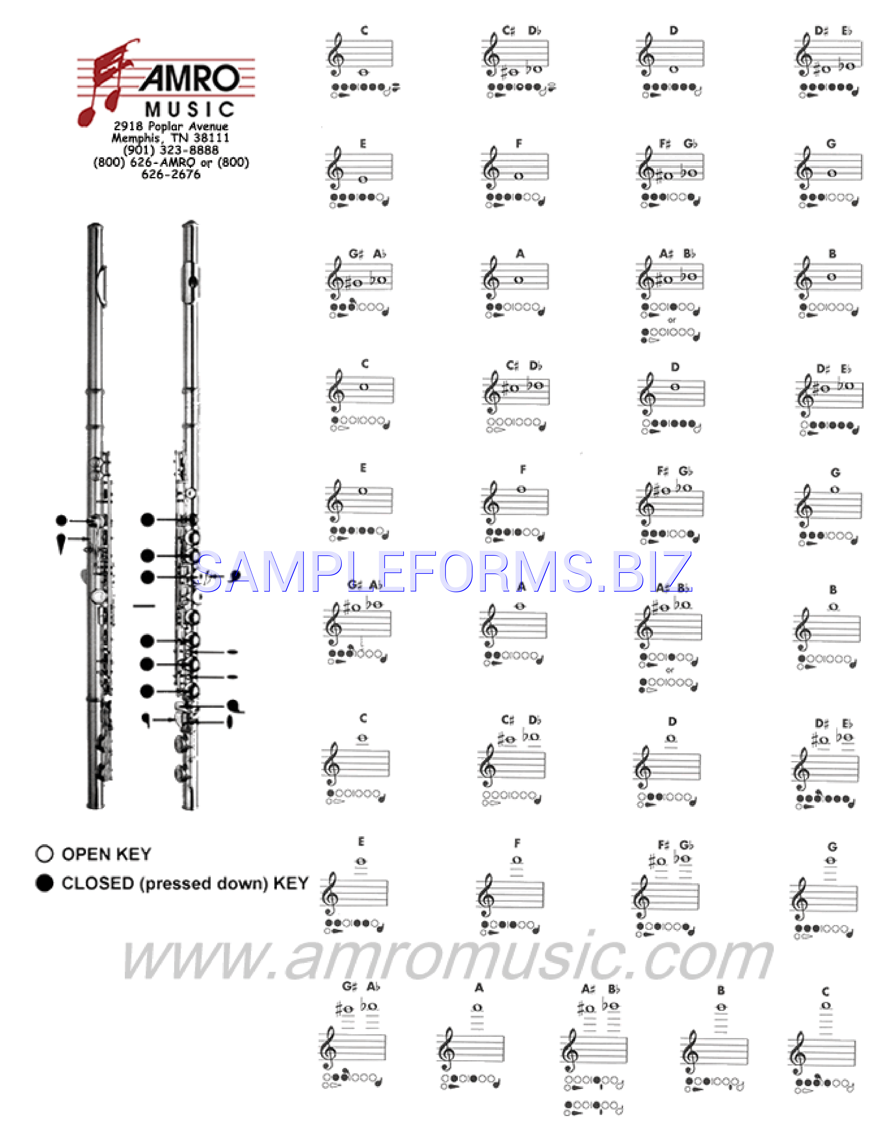 Preview free downloadable Flute Fingering Chart 1 in PDF (page 1)