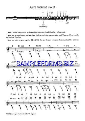 Flute Fingering Chart pdf free